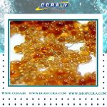 قیمت عمده انواع رزین