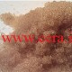 روش احیاء رزین انیونی